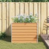 Jardinière surélevée Marron Clair 100 x 100 x 77 cm 635814635814