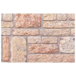 Panneaux muraux 10 pcs Marron clair et blanc 100 x 50 cm 635853635853