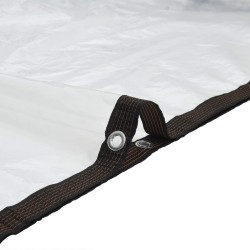 Tarpaulin Transparent 2,5 x 1,5 m PE 635953635953