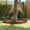 Bordure de Pelouse 10 pcs 103 x 25 cm Acier Rouillé 636012636012