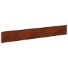 Bordure de Pelouse 20 pcs 100 x 15 cm Acier Rouillé 636015636015