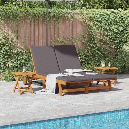 Transat avec coussin Gris foncé Bois d'Acacia Massif 636066636066