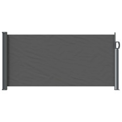 Store latéral rétractable Anthracite 300 x 100 cm Polyester 636092636092