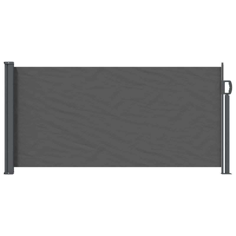 Store latéral rétractable Anthracite 300 x 100 cm Polyester 636092636092