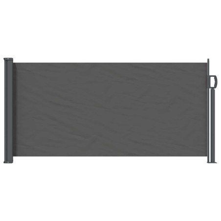 Store latéral rétractable Anthracite 300 x 100 cm Polyester 636092636092