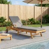 Chaise longue avec coussin 100% Polyester Teck Solide 636132636132
