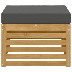 Pouf d'Extérieur Bois d'Acacia Massif Blanc 636147636147