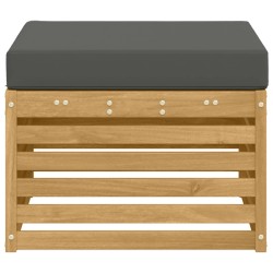 Pouf d'Extérieur Bois d'Acacia Massif Blanc 636147636147