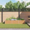 Jardinière surélevée Marron Clair 240 x 80 x 45 cm 636187636187
