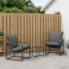Ensemble de canapé de jardin 3 pcs Noir et anthracite Acier 636239636239