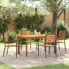 Ensemble de salle à manger pour jardin 5 pcs Noir 636247636247