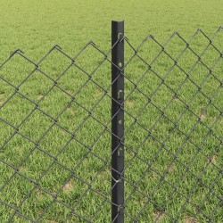 Clôture grillagée avec poteau 25 x 0,6 m Acier recouvert de PVC 636270636270