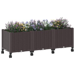 Jardinière avec Roues Marron 120 x 40 x 44 cm PP 636302636302