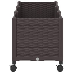 Jardinière avec Roues Marron 120 x 40 x 44 cm PP 636302636302