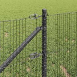 Clôture en fil soudé avec pointes 25 x 1 m Gris Maille 636313636313