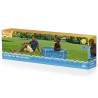 Bestway Piscine de jeu pour animaux de compagnie hors sol Bleu 636650636650