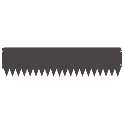 Bordure de Pelouse 10 pcs 103 x 25 cm Acier Noir 636659636659