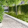Bordure de Pelouse 10 pcs 100 x 25 cm Acier Blanc 636864636864