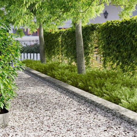Bordure de Pelouse 10 pcs 102 x 15 x 4 cm Acier Argenté 636865636865