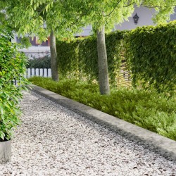 Bordure de Pelouse 10 pcs 100 x 18 cm Acier Argenté 636881636881