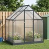 Serre de jardin avec porte Anthracite 183,5 x 123 x 207 cm 636886636886