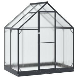 Serre de jardin avec porte Anthracite 183,5 x 123 x 207 cm 636886636886