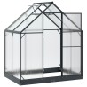 Serre de jardin avec porte Anthracite 183,5 x 123 x 207 cm 636886636886
