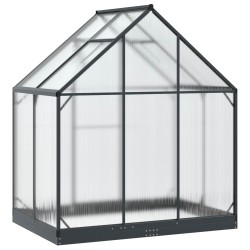 Serre de jardin avec porte Anthracite 183,5 x 123 x 207 cm 636886636886