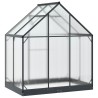 Serre de jardin avec porte Anthracite 183,5 x 123 x 207 cm 636886636886