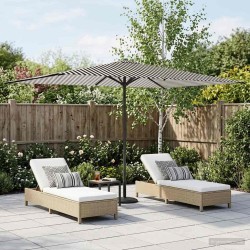 Parasol de jardin 200 x 300 cm Polyester Rectangulaire 636895636895