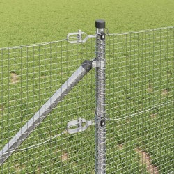 Clôture en fil soudé avec pointes 25 x 0,8 m Acier galvanisé 636945636945