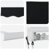 Auvent rétractable Noir 300 x 250 x 165 cm Tissu et Métal 637000637000