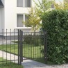 Porte de Clôture HORST 100 x 100 cm métal Noir Verrouillable 637020637020