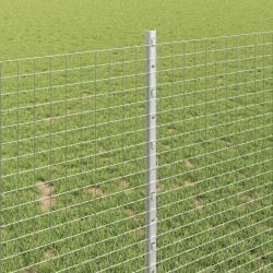 Clôture en fil soudé avec poteaux 50 x 1 m Acier galvanisé 637024637024