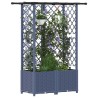 Lit Élevé avec Treillis et Toit Gris 124 x 40 x 136 cm PP 637063637063