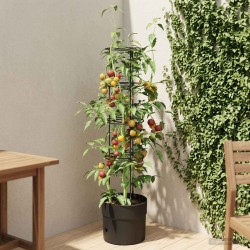 Cultivateur de Tomates Noir Ø 32 x 127 cm PP 637108637108