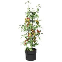 Cultivateur de Tomates Noir Ø 32 x 127 cm PP 637108637108