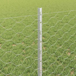 Clôture hexagonale avec poteau 10 x 0,8 m Acier galvanisé 637135637135