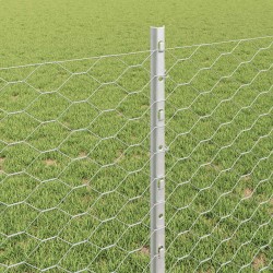 Clôture hexagonale avec poteau 10 x 0,8 m Acier galvanisé 637137637137