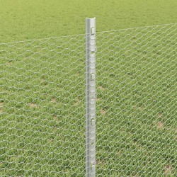Clôture hexagonale avec poteau 10 x 0,8 m Acier galvanisé 637139637139