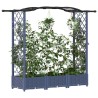 Lit Élevé avec Treillis et Toit Gris 169 x 40 x 123 cm PP 637205637205