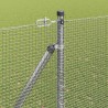 Clôture en fil soudé avec pointes 25 x 1,6 m Acier galvanisé 637235637235