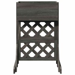 Trellis de jardin vertical Gris 48 x 30 x 70,5 cm 637313637313