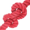 Corde en Jute Rouge Jute 100% Tossa 637561637561