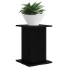 Support de Plante 2 pcs Noir 30,5 x 30 x 43 cm 637586637586