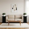 Support de Plante 2 pcs Noir 30,5 x 30 x 43 cm 637586637586