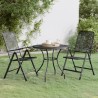 Ensemble à manger de jardin 3 pcs Maille Métal Anthracite 637626637626