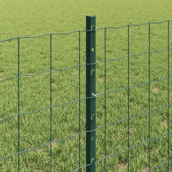 Clôture Euro avec poteau 10 x 0,6 m Acier recouvert de PVC Vert 637671637671