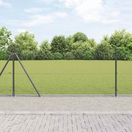 Clôture en fil soudé avec base en béton 25 x 1 m Gris Maille 637754637754