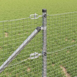 Clôture en fil soudé avec pointes 10 x 0,8 m Acier galvanisé 637811637811